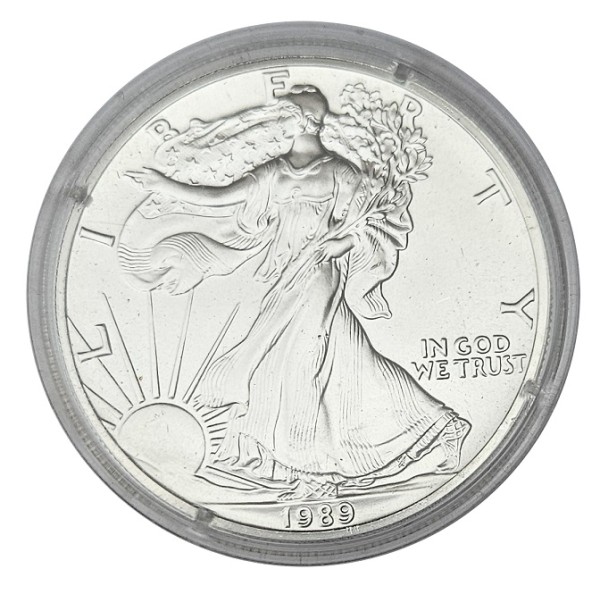 USA 1 Dollar 1 Oz Silber American Eagle 1989